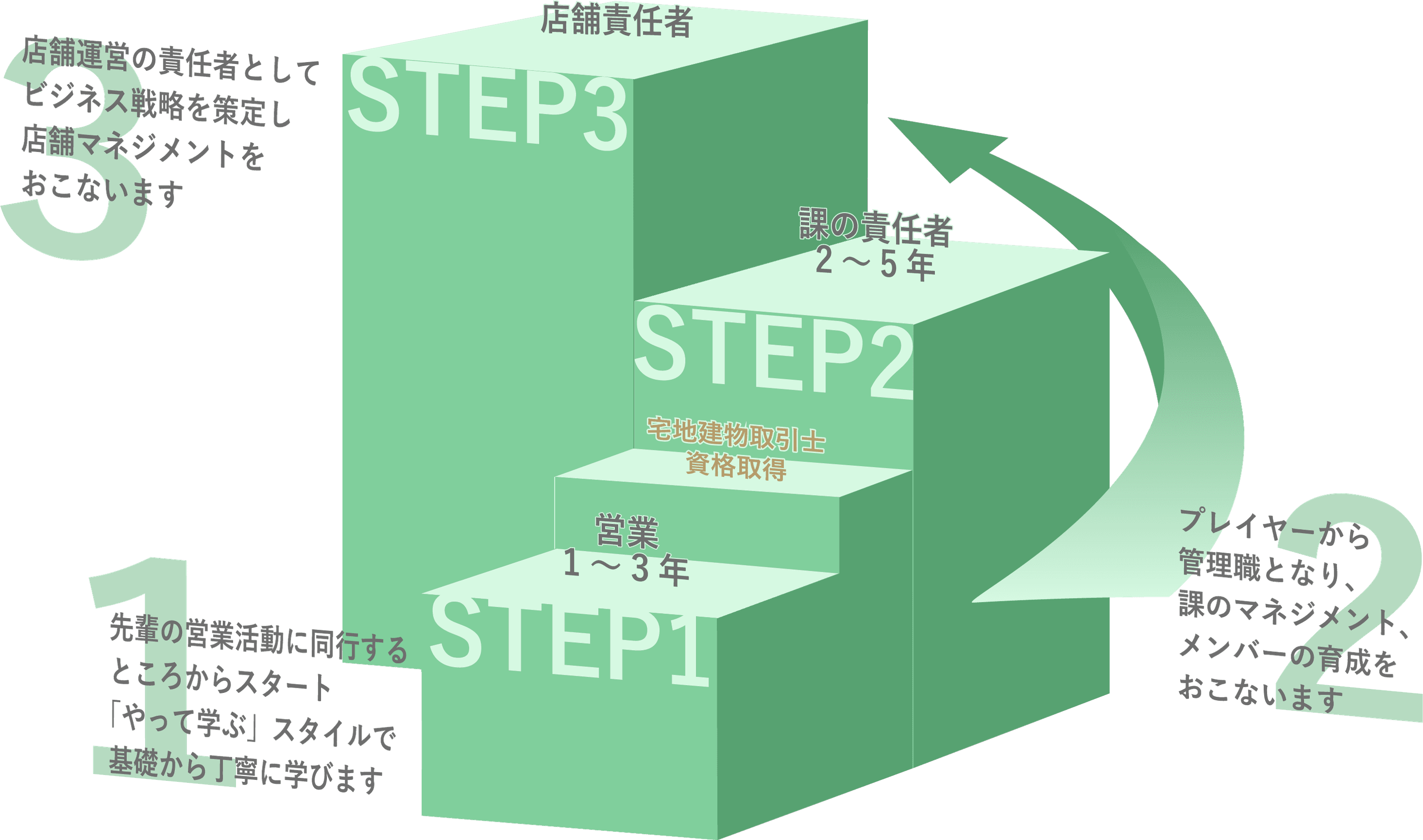 Career steps