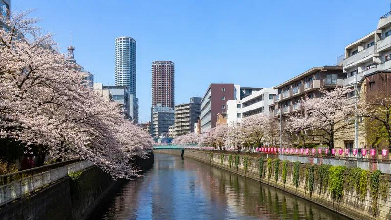 目黒区のイメージ