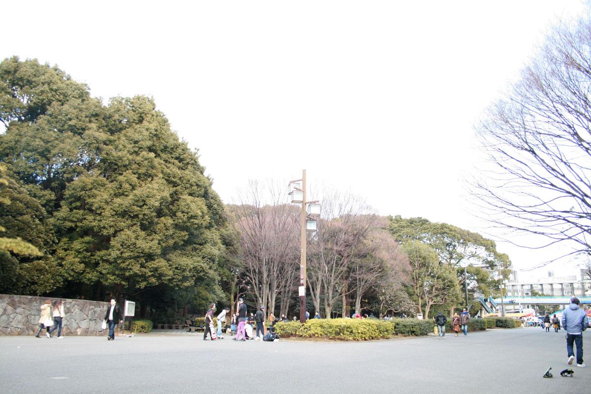 代々木公園