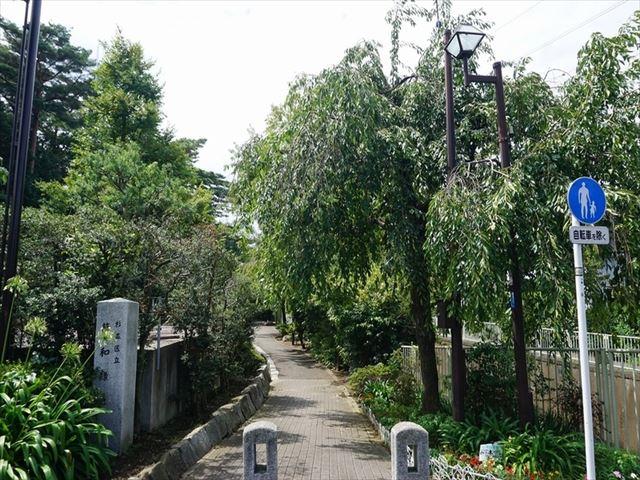 杉並区立藤和緑地
