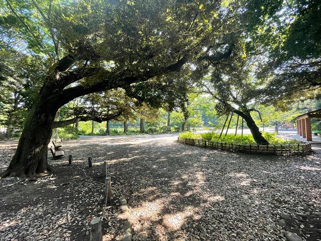東京都立 善福寺公園