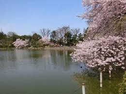 善福治公園