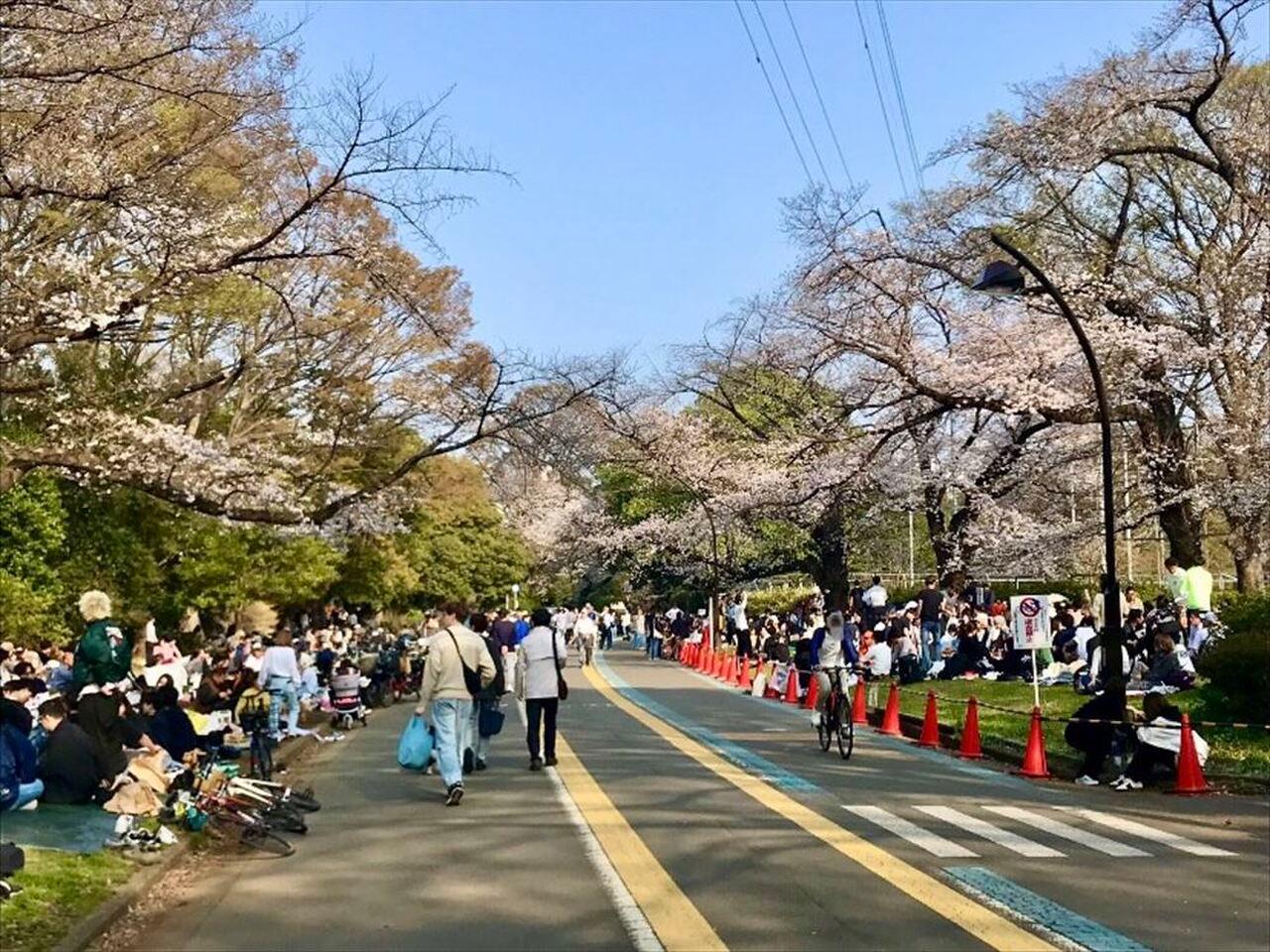 呑川緑道