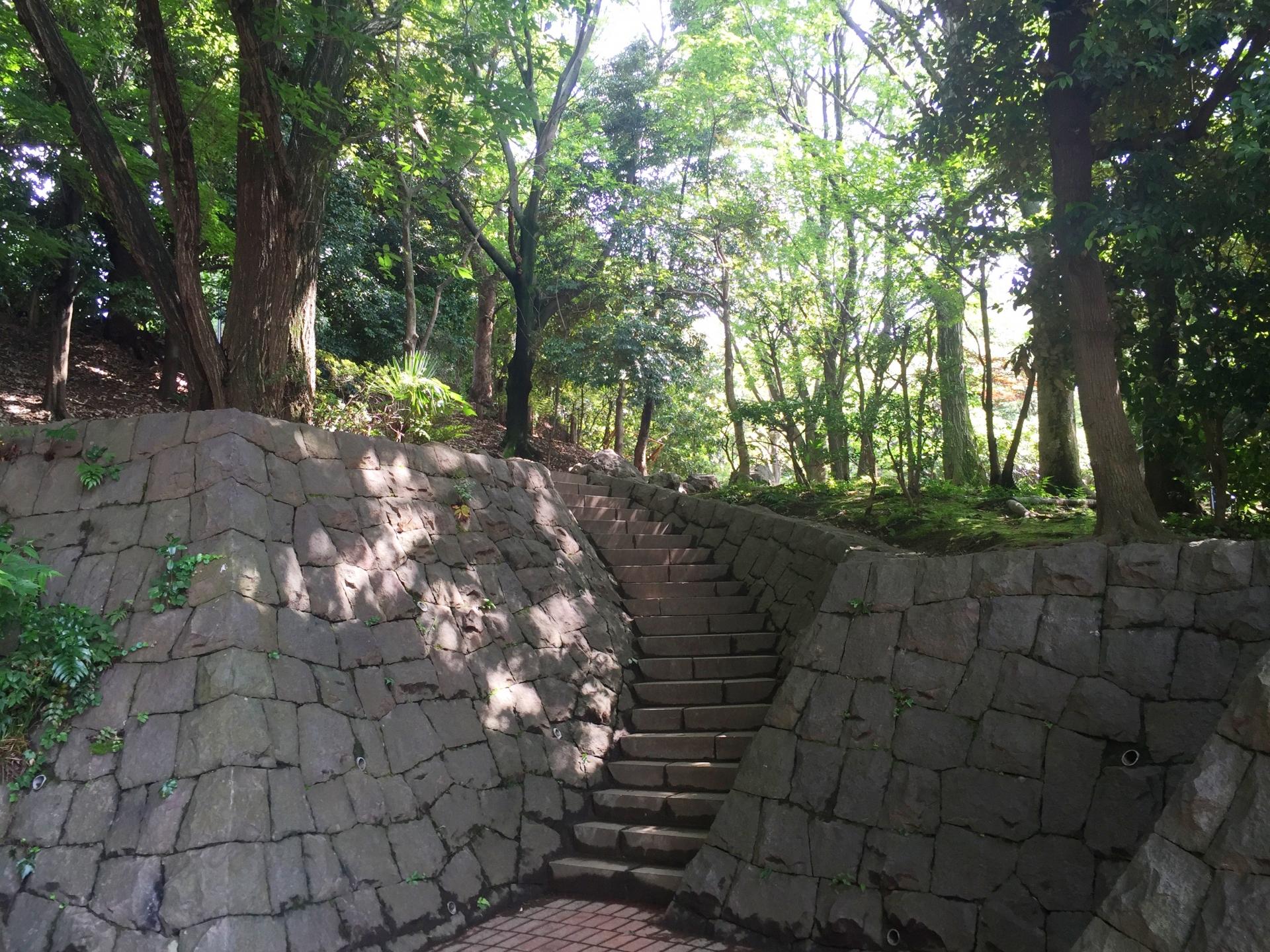 平和の森公園